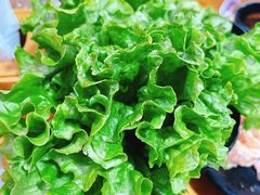 -喜顺大块肉