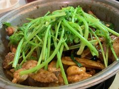 叹佬鸡煲-芳村榕树头叹佬鸡煲(体育西店)