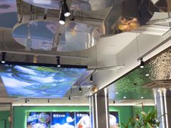 -探窝·竹笙椰子鸡(杨箕店)