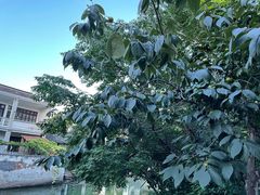 -锦溪古镇