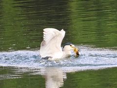 -重庆彩云湖湿地公园