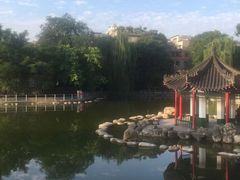 -莲湖公园