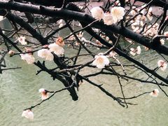 -上海市龙华烈士陵园