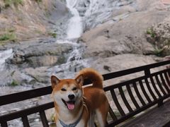 -五泄景区