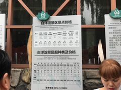 -白洋淀景区