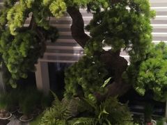 -苏淮景·苏闽融创菜·海鲜(原空港井河轩店)