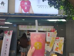 -树夏(建设路店)