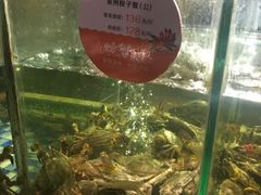 -东营蓝海御华大饭店渔歌舫(潍河路店)