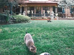 -马勒别墅·中餐厅