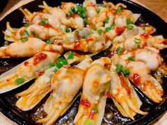 -鸽子窝(青塔店)