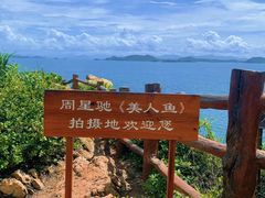 -杨梅坑