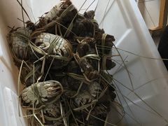 -芸海阁·农家私房菜(沙家浜景区出口店)