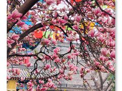 -西安市广仁寺