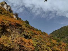 -秦岭风景区