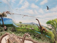 -辽宁古生物博物馆