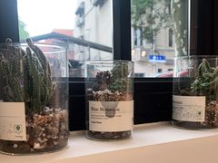 -Fridi Patisserie Cafe