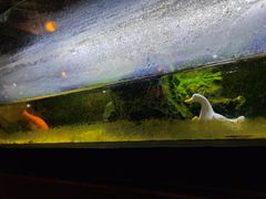 -南锣鼓巷吉他吧(鼓楼店)
