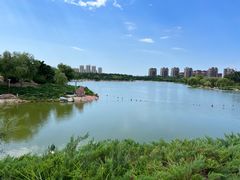 -通辽森林公园