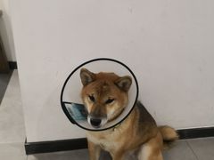 -NOTBAD 须时·咖啡馆