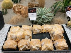 -OUR Bakery(SKP-S店)