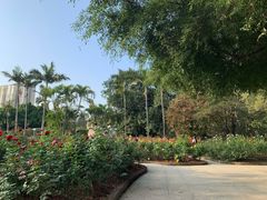 -人民公园(罗湖区)