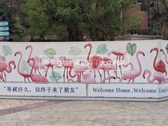 -灵玲国际马戏城