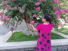 -威海华夏城景区