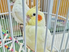 -巴黎春天(浦建店)