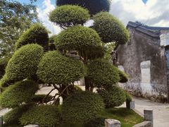 -蔡家宅
