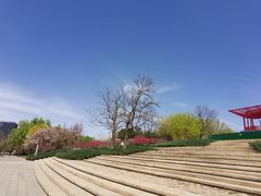 -大望京公园