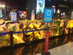 -万达影城(凯旋城广场XLAND店)