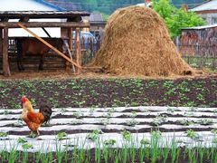-北极村旅游风景区
