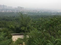 -府君山公园