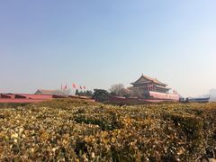 -金百万(亦庄店)