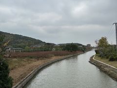 -上海佘山国家森林公园天马山园