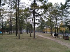 -美兰湖景区