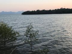 -深圳湾公园(南山区)