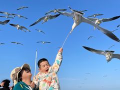 -海驴岛(荣成市)