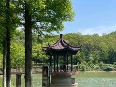 -宜兴龙背山森林公园