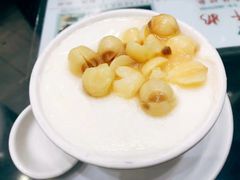 -义顺牛奶公司(板樟堂店)