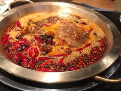 红汤锅底-潮火锅·麻辣牛肉火锅(观音桥方圆·LIVE店)