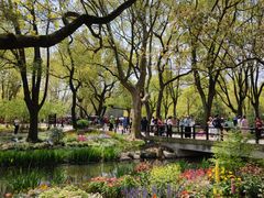 -上海共青森林公园