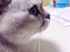 -宠颐生维康宠物医院(金丰店)