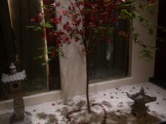 -兰亭茶叙(新新家苑店)