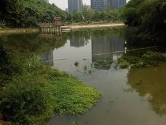 -百林公园-两江幸福广场
