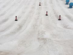 -武清南湖绿博园