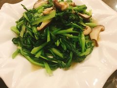 -冶春茶社(星汉大厦店)