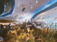 -漩门湾国家湿地公园