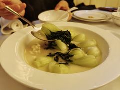 濃湯奶白菜-火璽·園