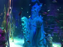 -沈阳海洋探索中心